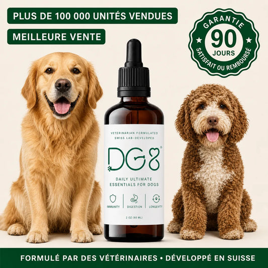 Le protocole scientifique pour améliorer la santé de votre chien