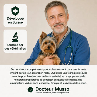 Le protocole scientifique pour améliorer la santé de votre chien