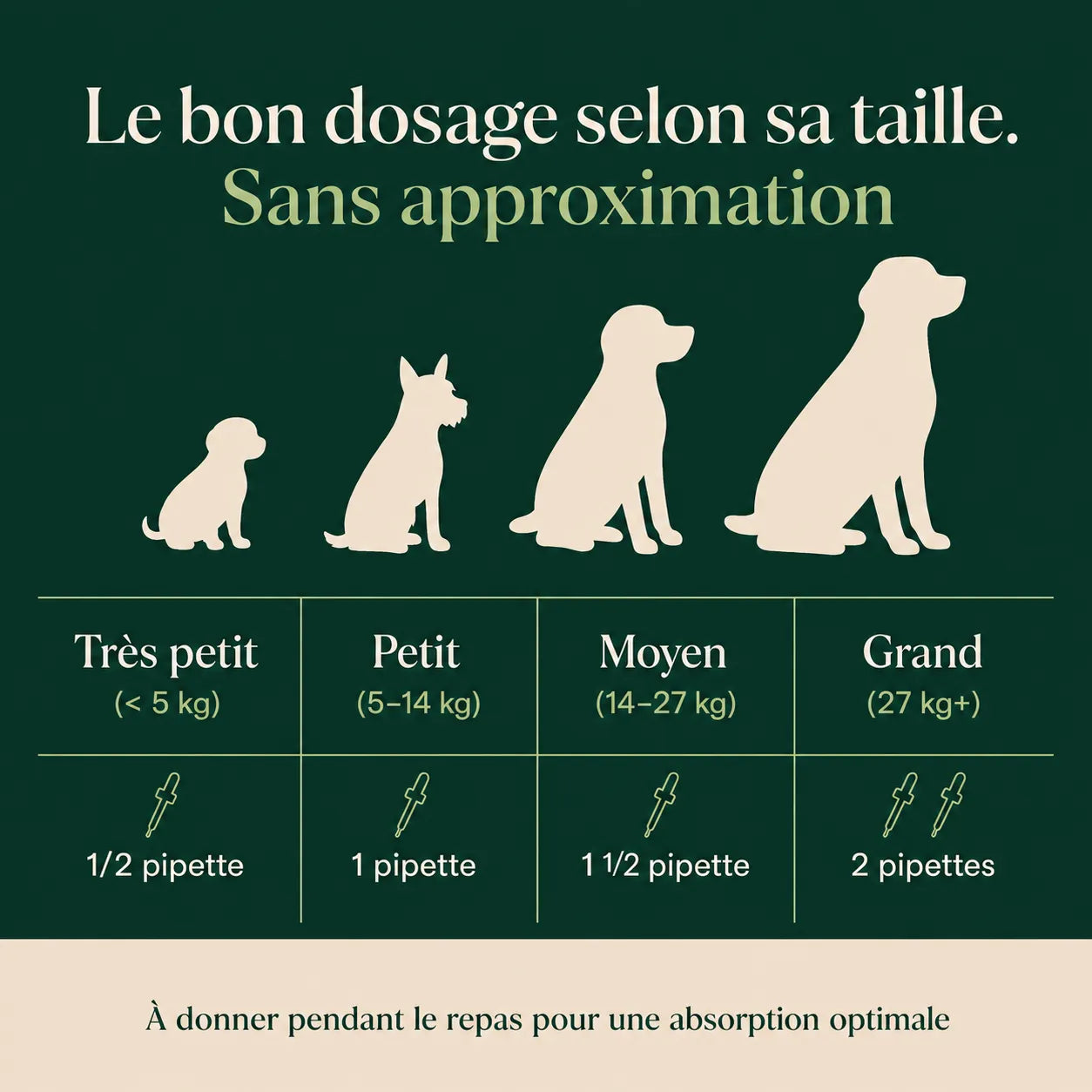 Le protocole scientifique pour améliorer la santé de votre chien