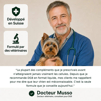 Votre chien ralentit avec l’âge ? Aidez-le à retrouver énergie, mobilité et envie de jouer